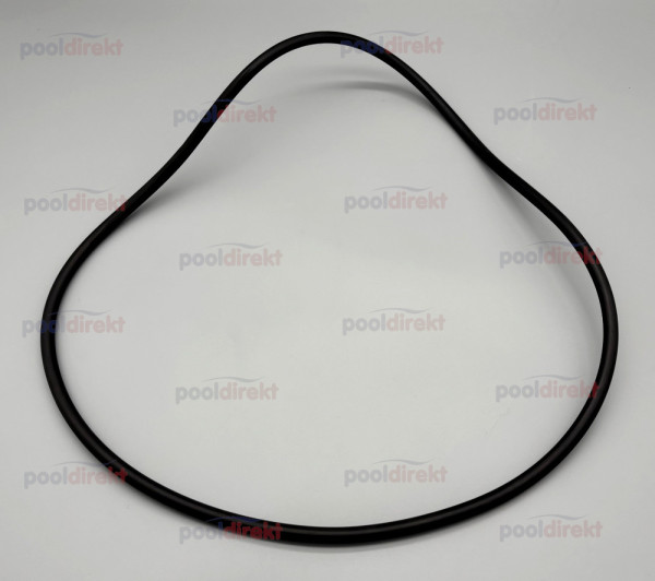 O-Ring D400 für Neptun/Zirkel