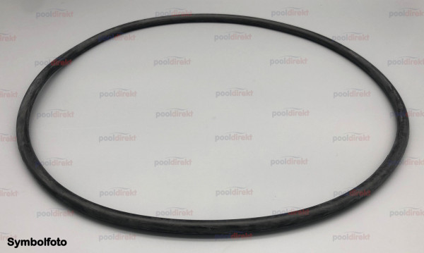 O-Ring für D 500